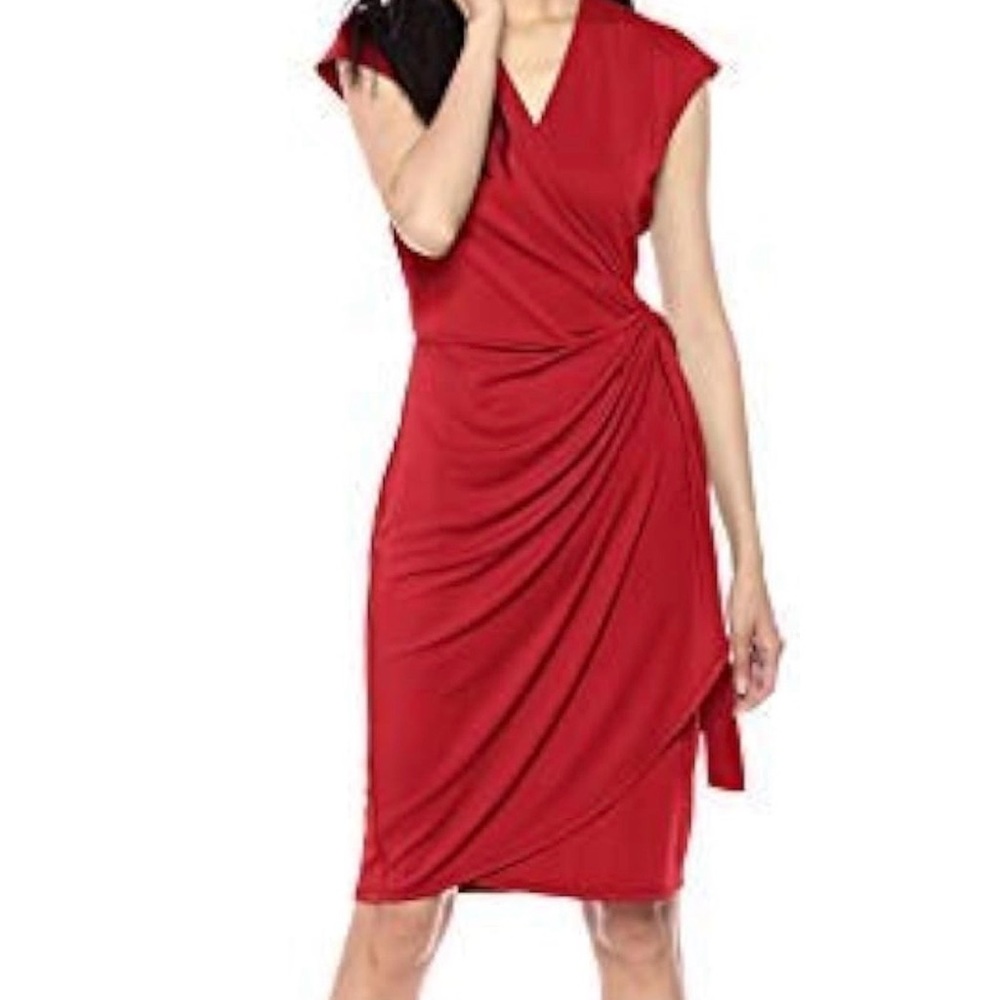 Lark & Ro Wrap Dress